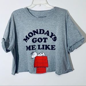 Peanuts Tops - Snoopy Crop T-Shirt Gray Size 2X Peanuts Tops - Snoopy Crop T-Shirt Gray Size 2X